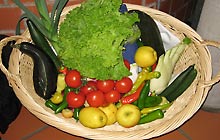  DJMiK WS Naurod 2009 (Bild: Gem�sekorb)