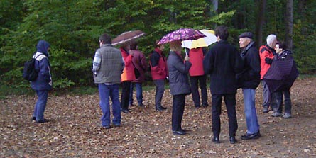  16.Offenbacher Stadtspaziergang (Bild: Ein paar Regentropfen)