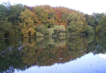  16.Offenbacher Stadtspaziergang (Bild: Der Maunzenweiher)
