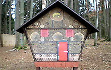  Osterfreizeit 2010 (Bild: Insektenhaus)
