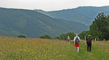 Vogesen 2010 (Bild: Wiese)