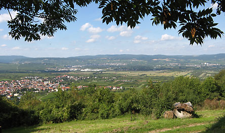 M�nnerseminar 2010 (Bild: Blick ins Rheintal)