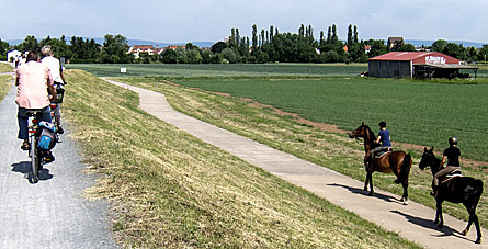 Radtour 2012 (Bild: Auf dem Damm nach Ginsheim)