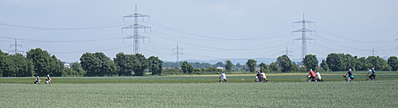 Radtour 2012 (Bild: Durch die Felder zur�ck nach Gro�-Gerau)